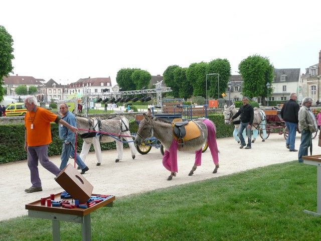 rodho 2013 (32).jpg